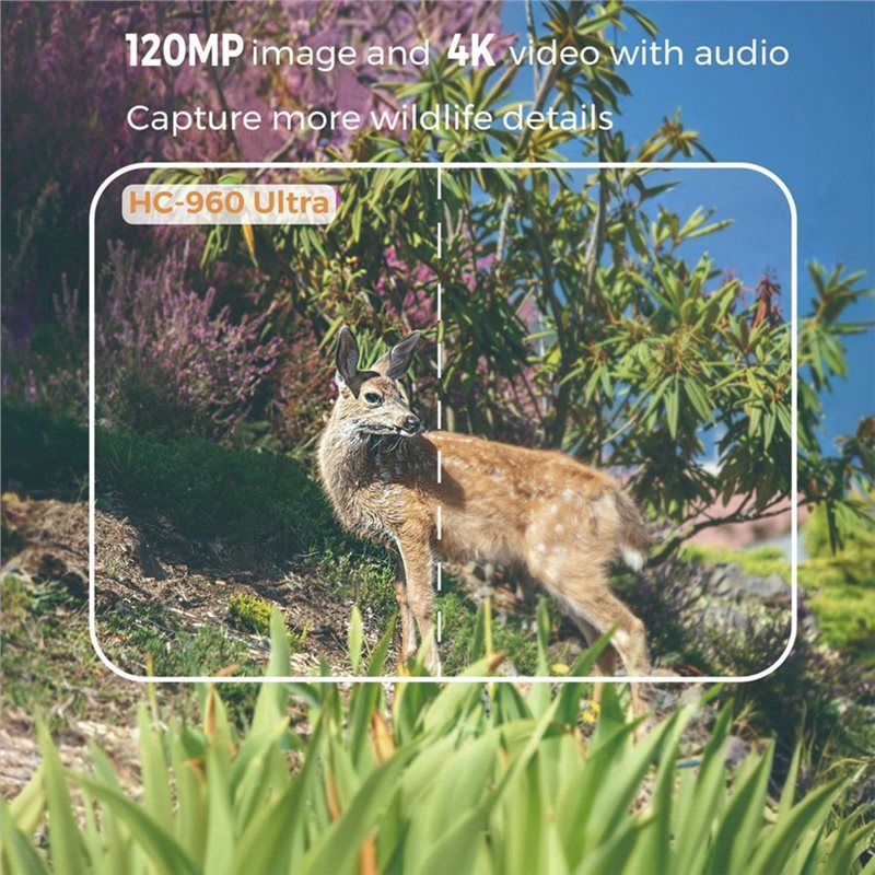 A99E-Outdoor 4G 120MP 4K Live  - đánh giá và giá Hunting And Outdoor Shows