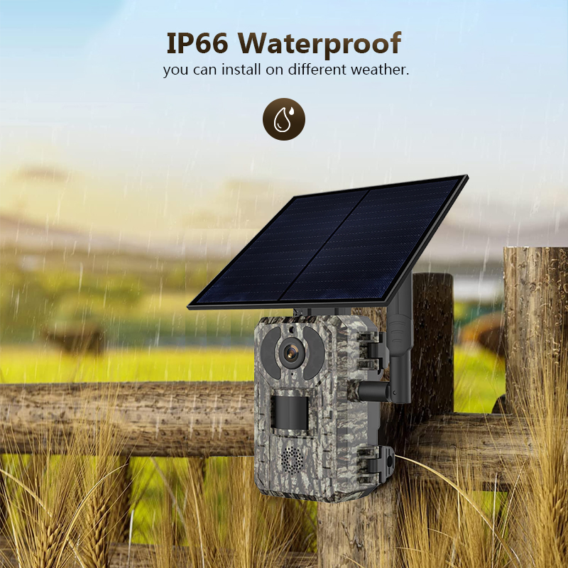 4G 4MP Outdoor Wildlife Huntin - đánh giá và giá Outdoor Hunting Camera Wireless