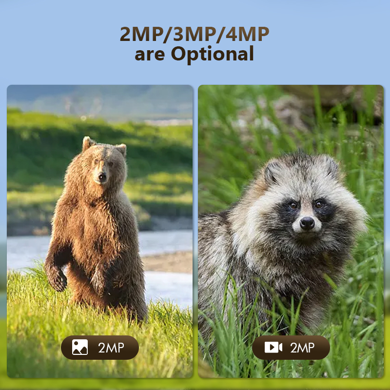 4G 4MP Outdoor Wildlife Huntin - đánh giá và giá Outdoor Hunting Camera Wireless